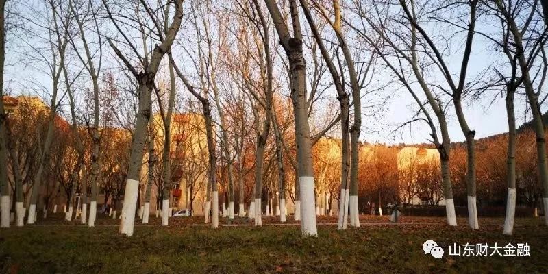 山东财经大学金融学院金融学专业入选国家一流本科专业建设点